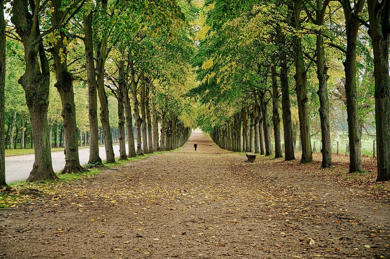 Versailles Gardens, France